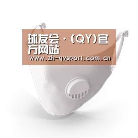 N95 口罩
